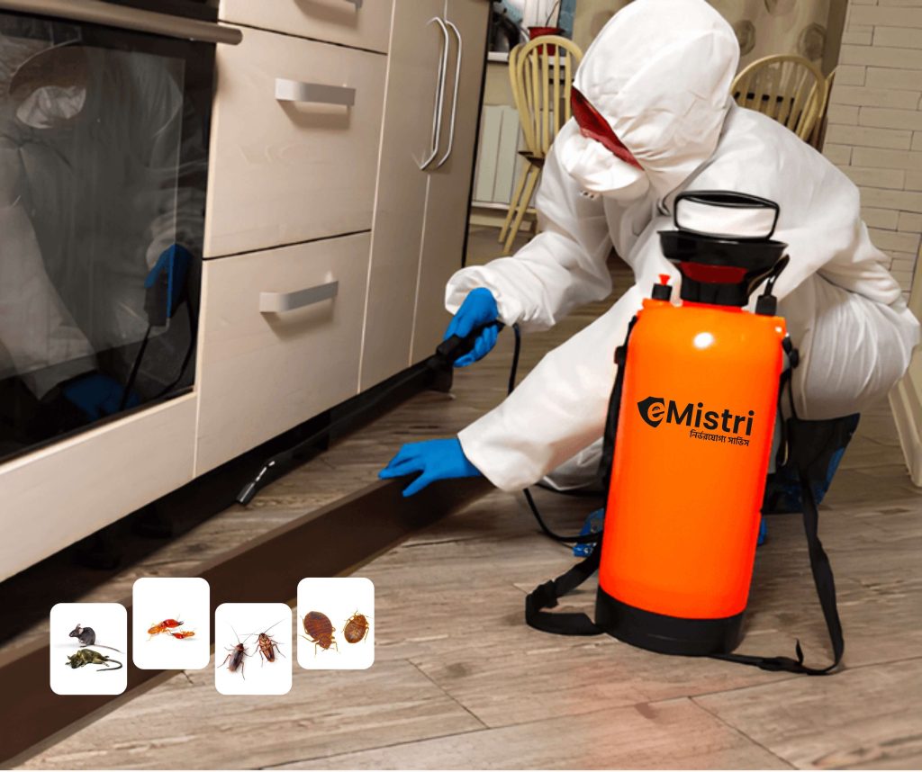 Best Pest Control Services in Dhaka